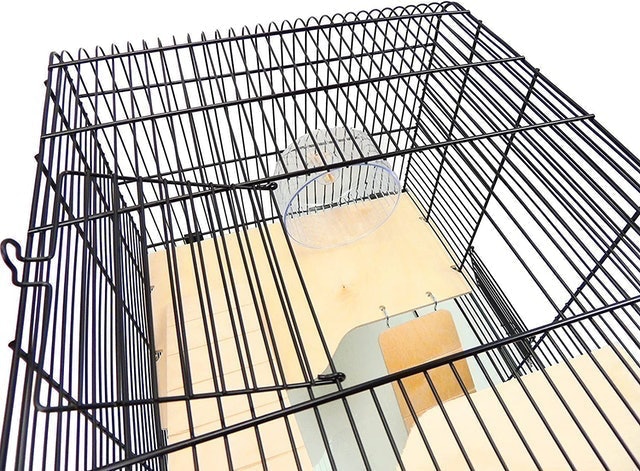 Savoy Gerbilarium Cage  2