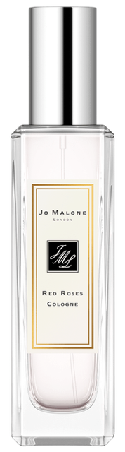 Red Roses Cologne 1