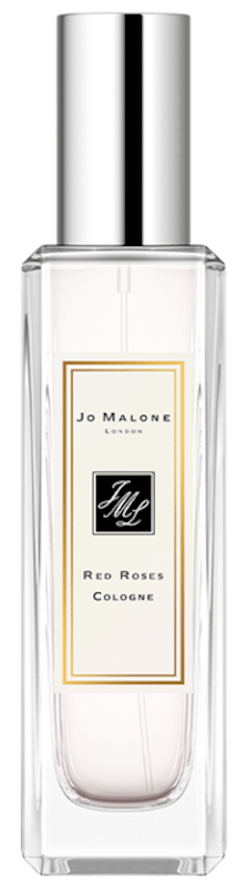 Red Roses Cologne 1