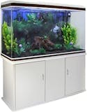 10 Best Tropical Fish Tanks UK 2024 | Tetra, Aqua One and More 1