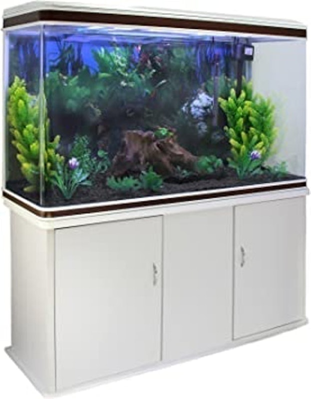 Large Fish Tank 1
