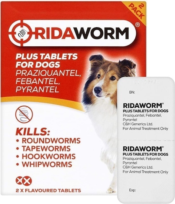 Dog Tablets, One Size 1