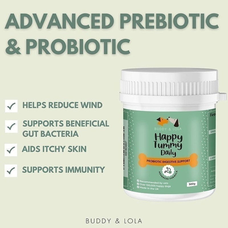 Probiotics For Dogs 2