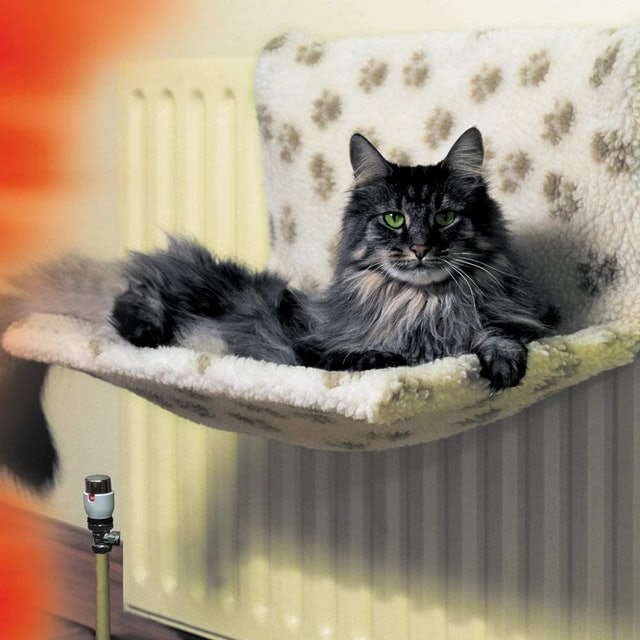10 Best Gifts for Cats UK | Danish Design Rosewood and More 5
