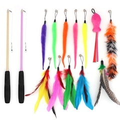 Cat Teaser Toy