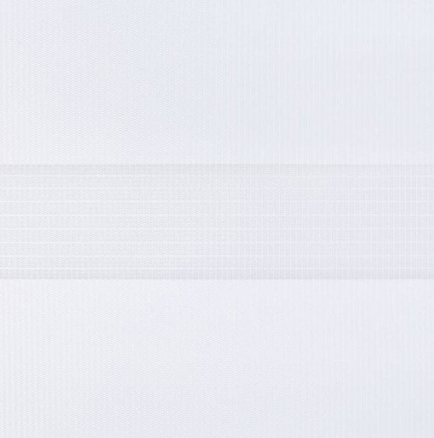 Day and Night Roller Blind 2