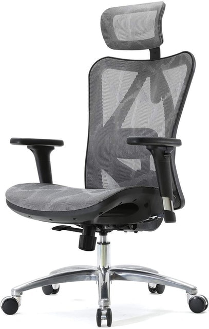 Ergonomic Office Chair 2