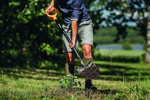 Gardener's Pointed Spade 2
