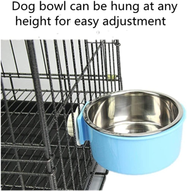 2-in-1 Dog Bowl 2