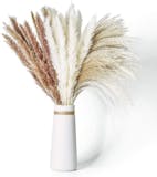 10 Best Dried Flowers and Grasses UK 2024 1