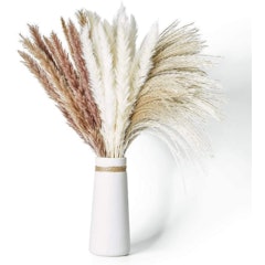 Natural Dried Pampas Grass with 3 Kinds of Colour