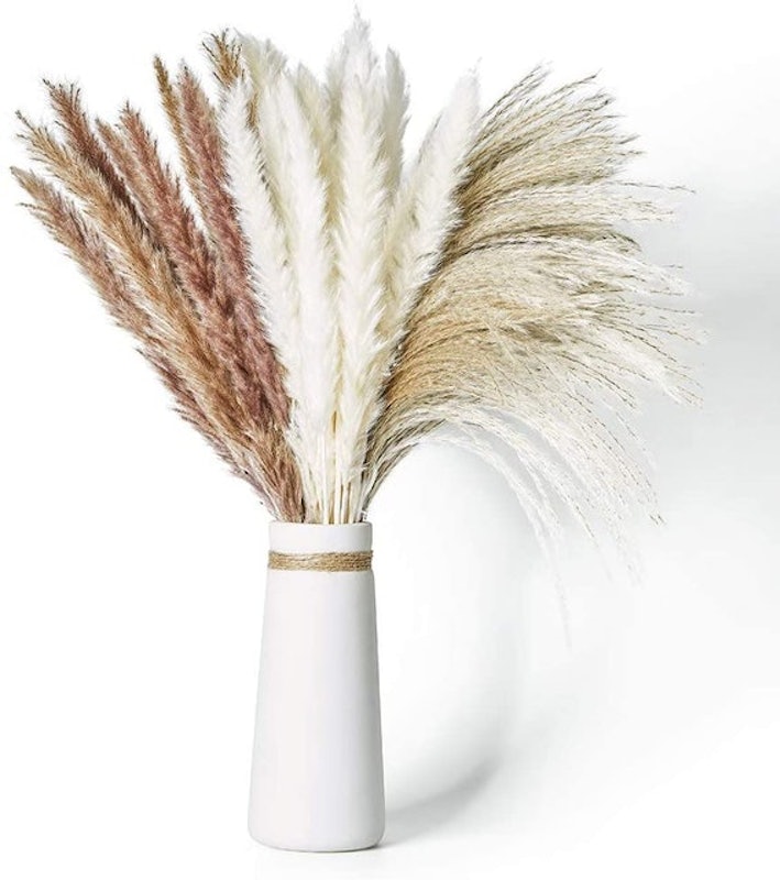 Natural Dried Pampas Grass with 3 Kinds of Colour 1
