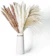Janice Ky Natural Dried Pampas Grass with 3 Kinds of Colour 1
