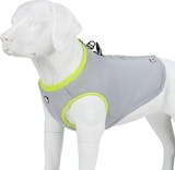 10 Best Cooling Vests for Dogs UK 2024 | Ruffwear, Crufts and More 4