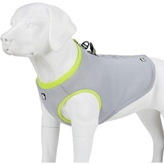 Cooler Jacket