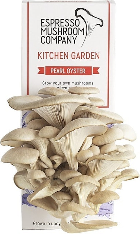 Pearl Oyster Kitchen Garden 1
