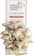 Espresso Mushroom Company Pearl Oyster Kitchen Garden 1