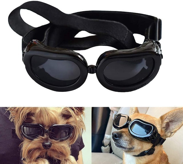 10 Best Dog Goggles UK 2024 5