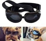 10 Best Dog Goggles UK 2024 5