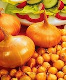 10 Best Easy to Grow Vegetables UK 2024 | Mr. Fothergill's, De Ree and More 3