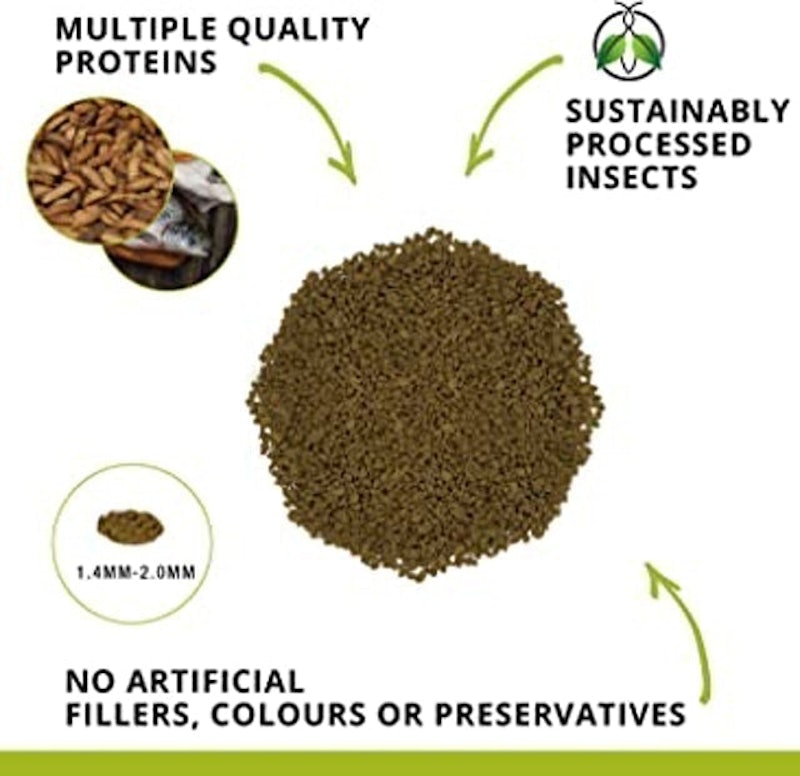 Bottom Feeder Granule Fish Food 2