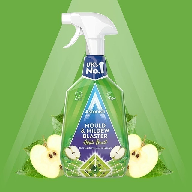 Mould & Mildew Remover 2