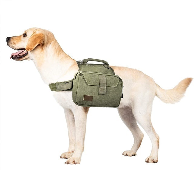 Hoppy Camper Doggy Backpack 1