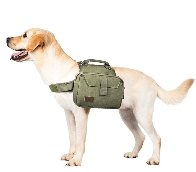 Hoppy Camper Doggy Backpack 1