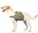 OneTigris Hoppy Camper Doggy Backpack 1