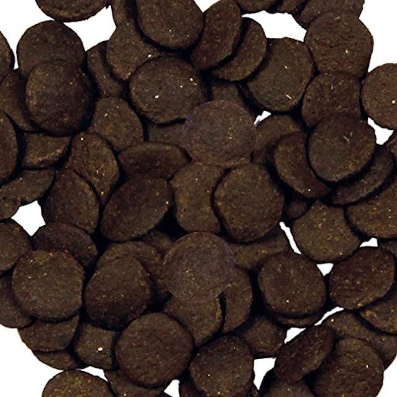 King British Algae Wafers 2
