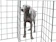 Flexipanel The Portable Dog Fence 1
