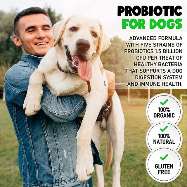 Doggy Dailies Probiotics for Dogs 2