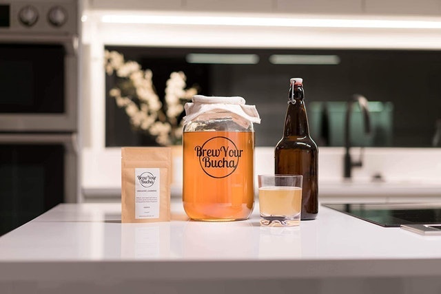 SCOBY With Starter Fluid 2