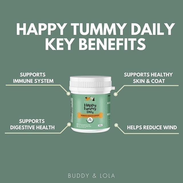 Probiotics For Dogs 4