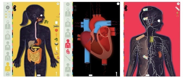 The Human Body by Tinybop 2
