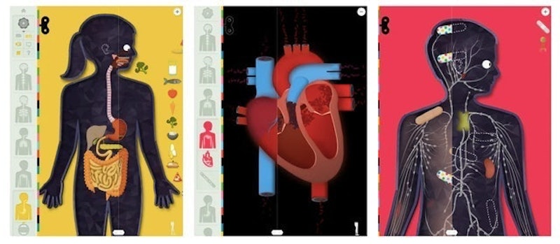 The Human Body by Tinybop 2