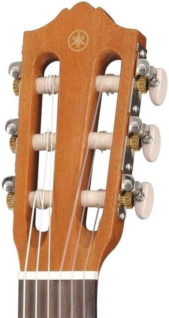 Acoustic Guitalele 3