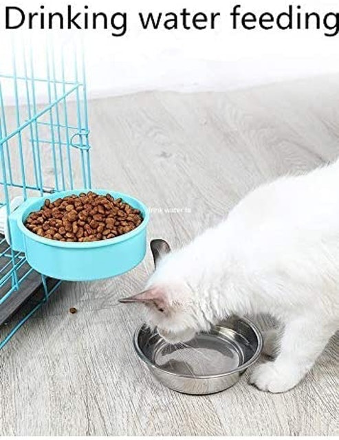 2-in-1 Dog Bowl 3