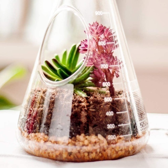 Chemistry Terrarium Kit 3
