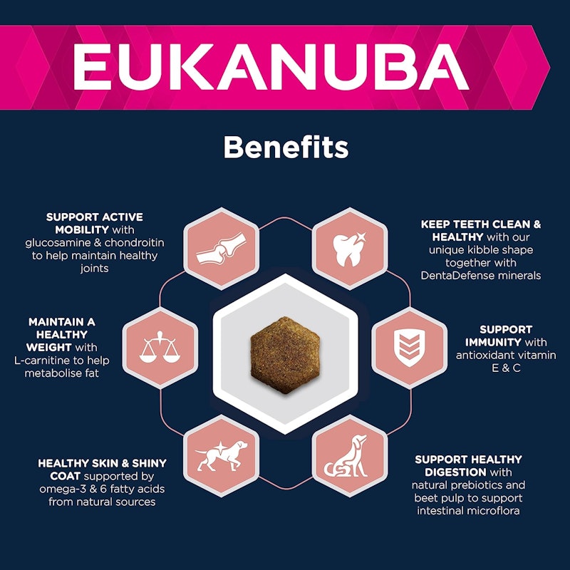 Eukanuba Complete Dry Dog Food for Senior Medium Breeds with Fresh Chicken 2