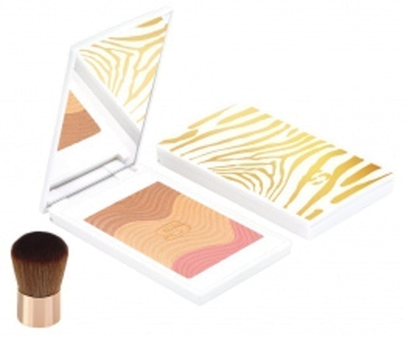 Phyto-Touche Sun Glow Powder 1