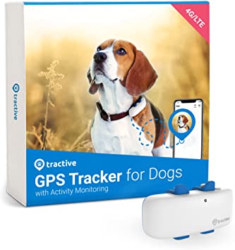 Best dog shop trackers uk