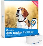 10 Best Dog GPS Trackers UK 2024 | Tractive, Pawfit and More 2
