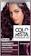 L'Oréal Colorista Permanent Gel 1