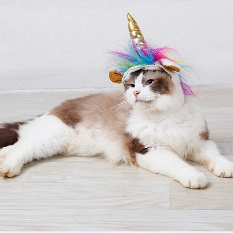 Cat Unicorn Hat 3
