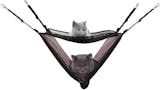 10 Best Cat Hammocks UK 2024 | Cage, Window Styles and More 2