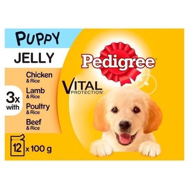Wet Puppy Food in Jelly 1