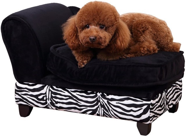 10 Best Pet Sofas UK 2024 | Pawhut, Pecute and More 3