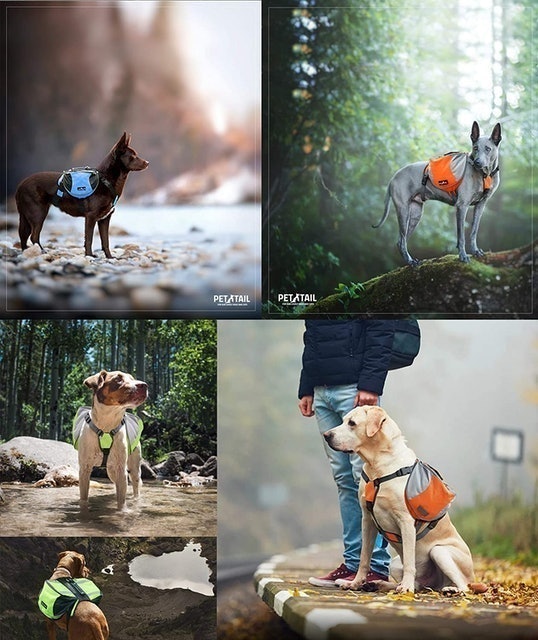 Dog Saddlebag 3