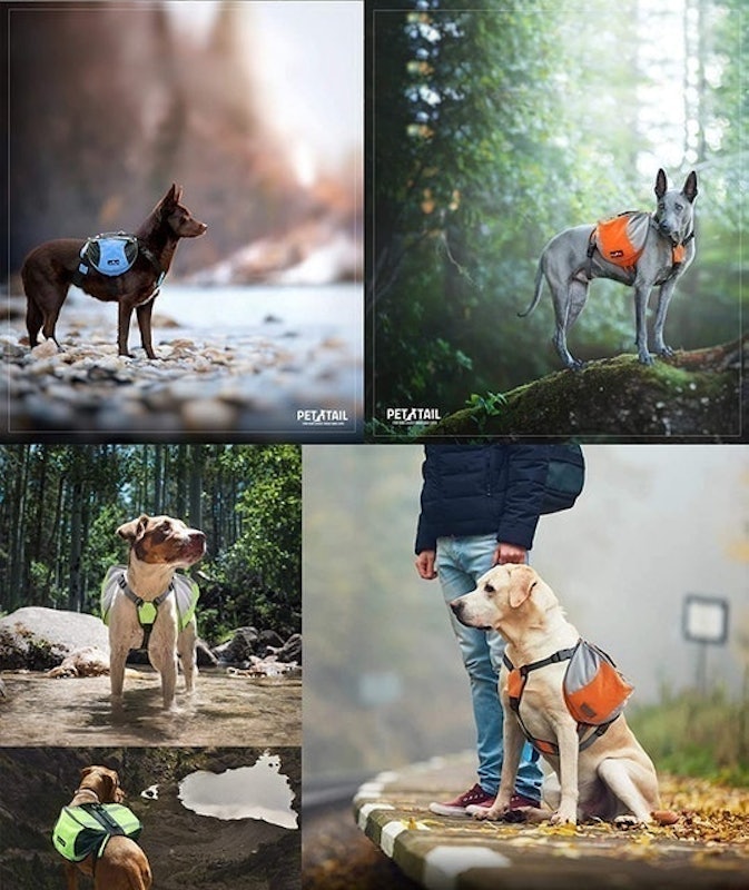 Dog Saddlebag 3